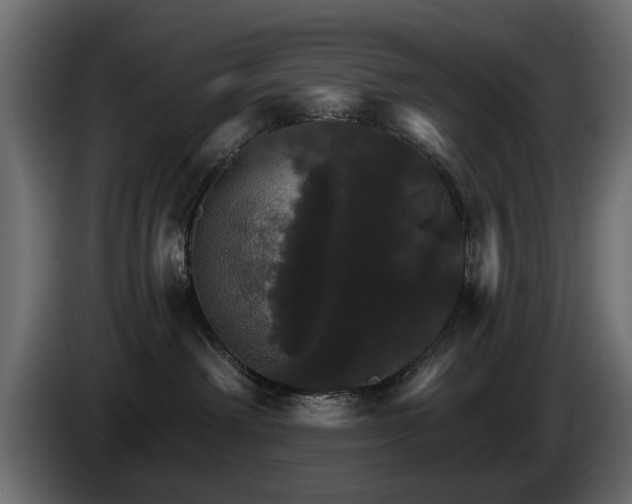 X0000084520238200703021403