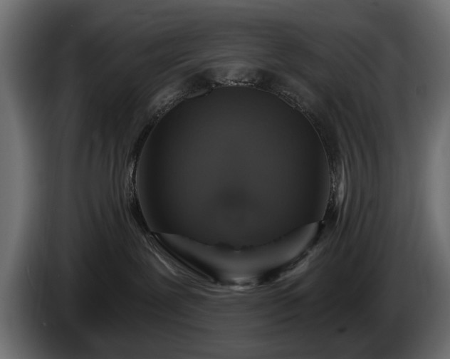 X0000084520239200703021403