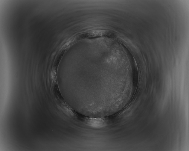 X0000084520240200703021403