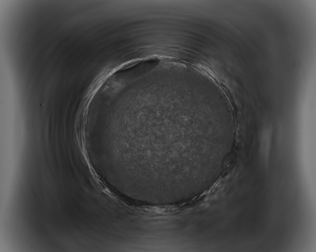 X0000084520241200703021402