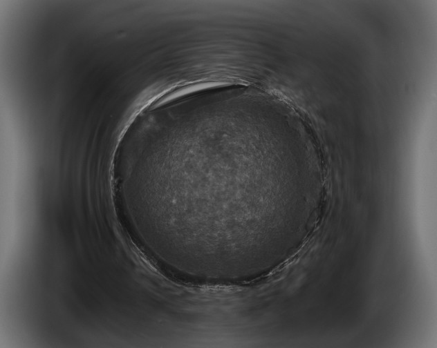 X0000084520242200703021402