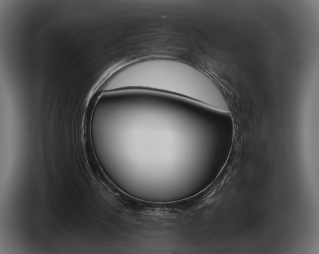 X0000084520244200703021403