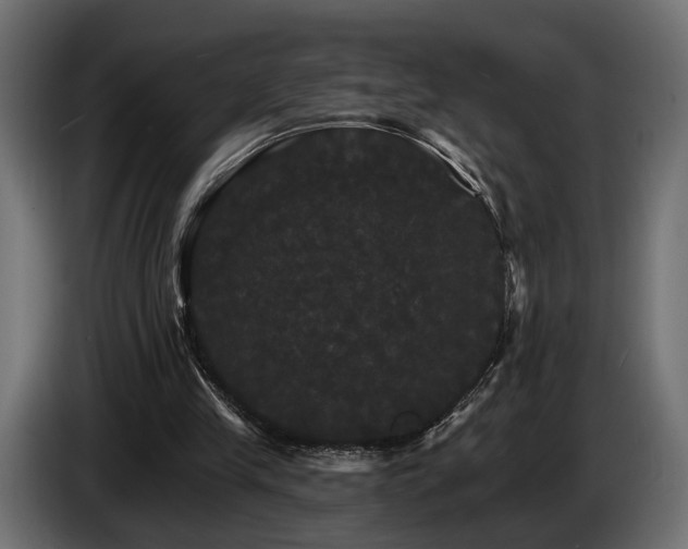 X0000084520245200703021403