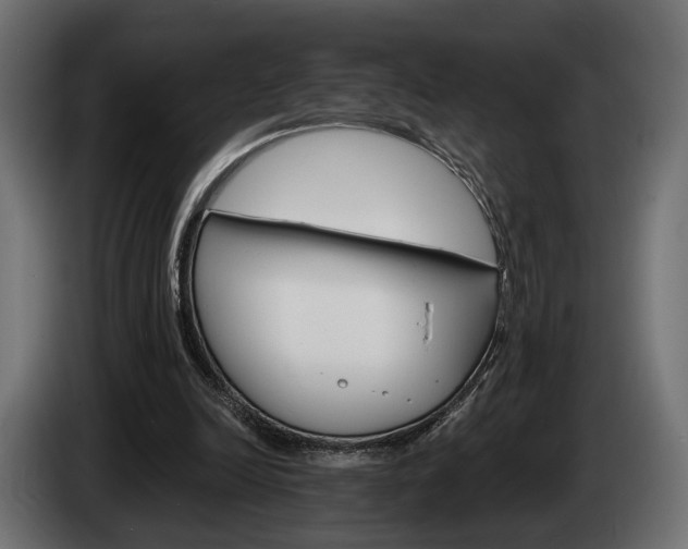 X0000084520246200703021403