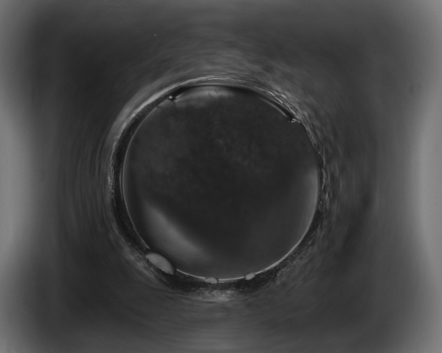 X0000084520247200703021403