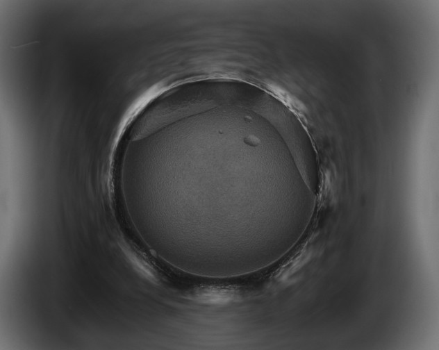 X0000084520248200703021403