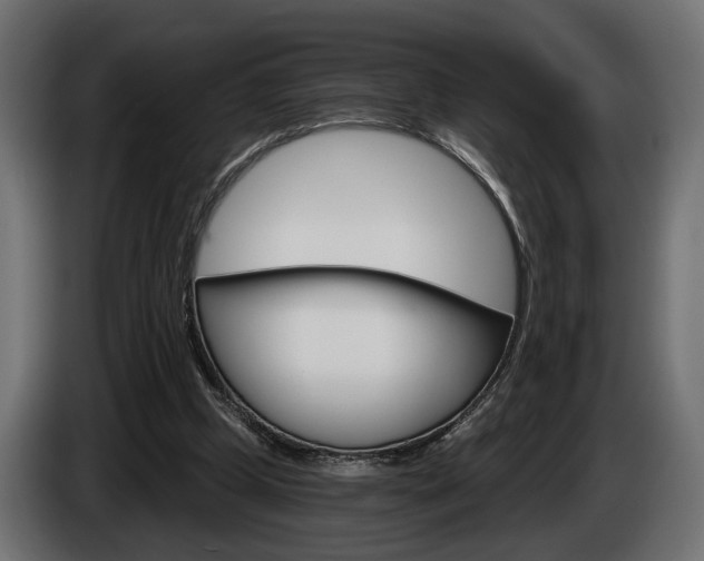 X0000084520249200703021403