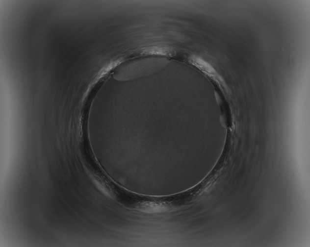 X0000084520250200703021403