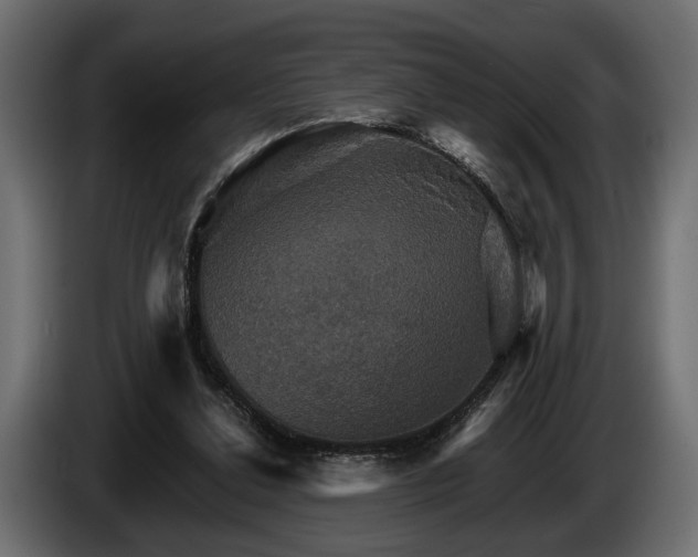 X0000084520252200703021403