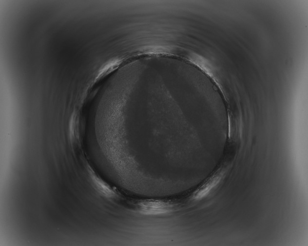 X0000084520253200703021403