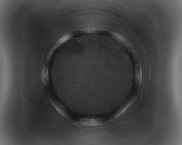 X0000084520254200703021403