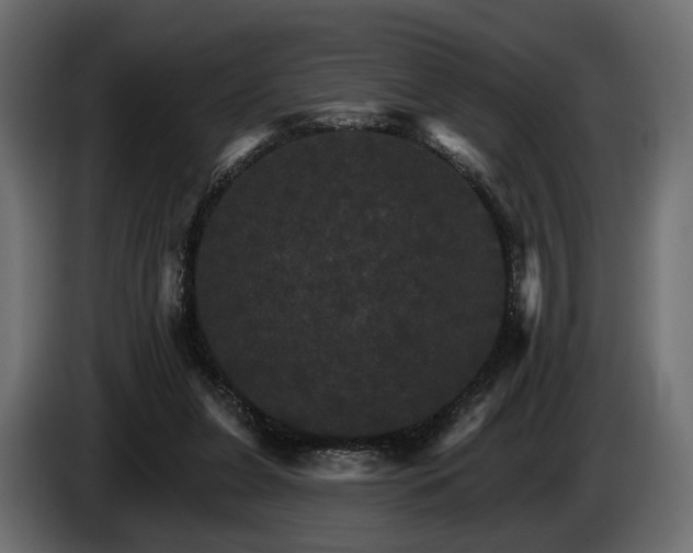 X0000084520255200703021403