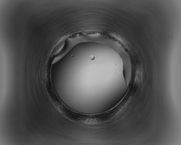 X0000084520256200703021403