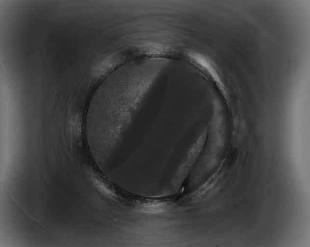 X0000084520257200703021403