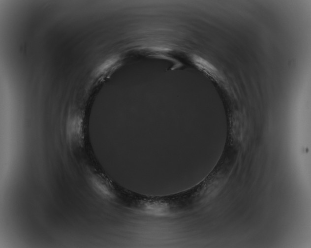 X0000084520258200703021403