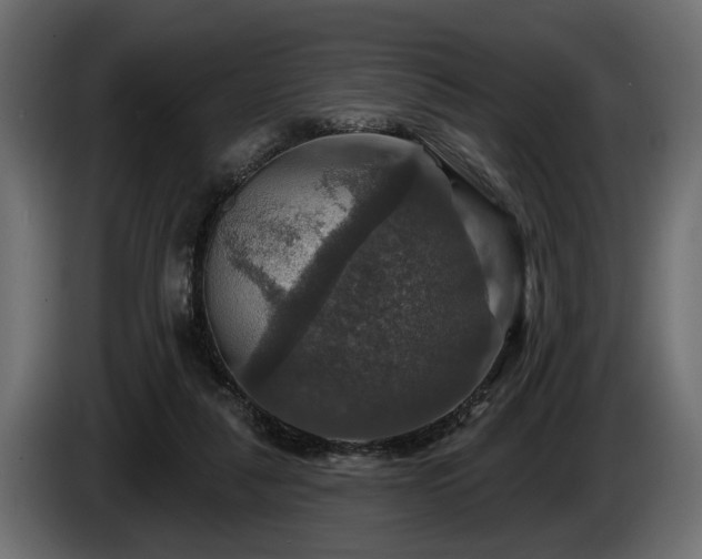 X0000084520259200703021403