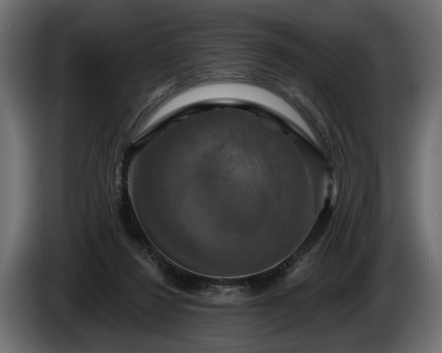 X0000084520260200703021403