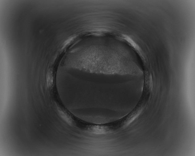 X0000084520261200703021403