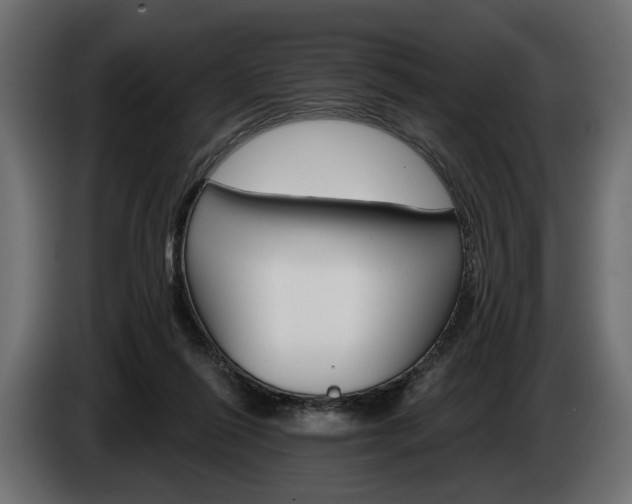 X0000084520262200703021403