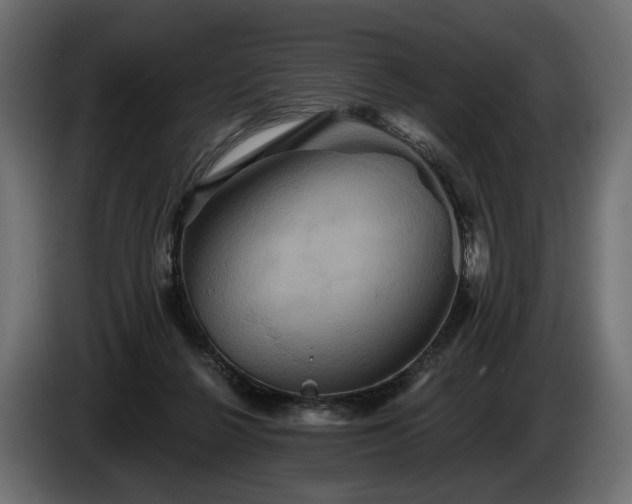 X0000084520264200703021403