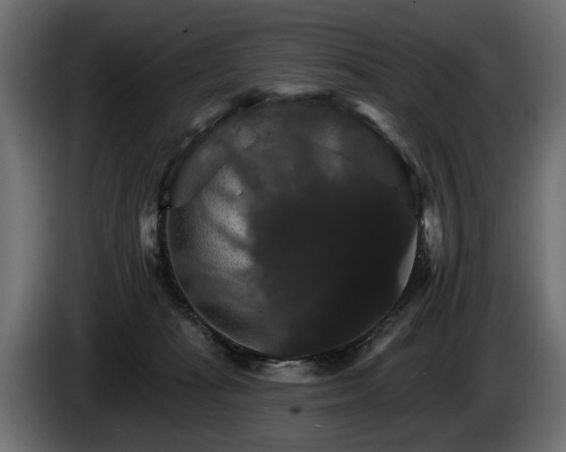 X0000084520269200703021403