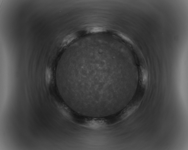 X0000084520270200703021403