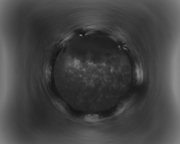 X0000084520271200703021403