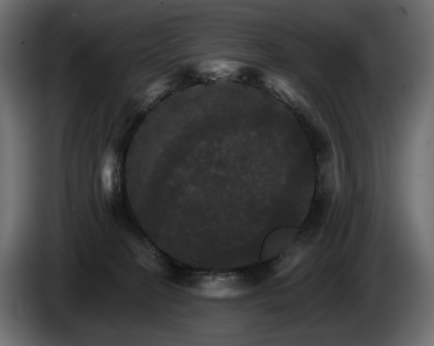 X0000084520274200703021403