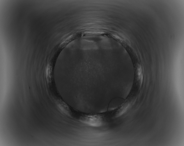 X0000084520275200703021403