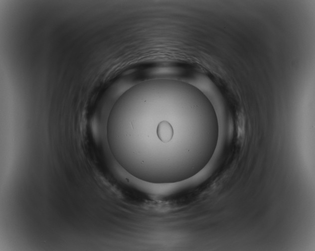 X0000084520276200703021403