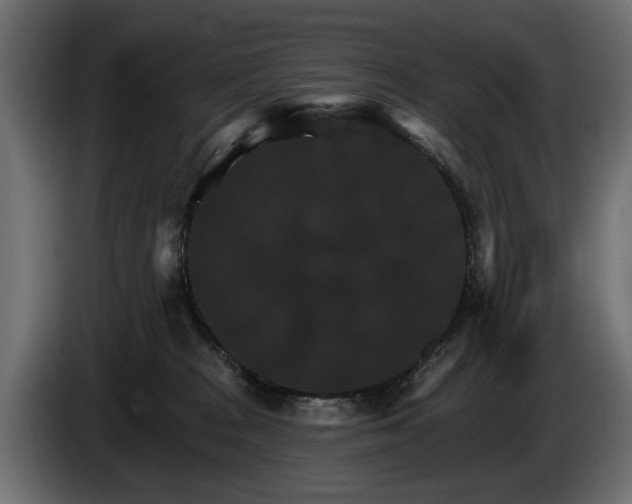 X0000084520277200703021403