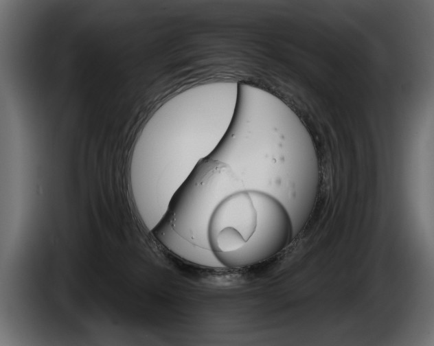 X0000084520278200703021403