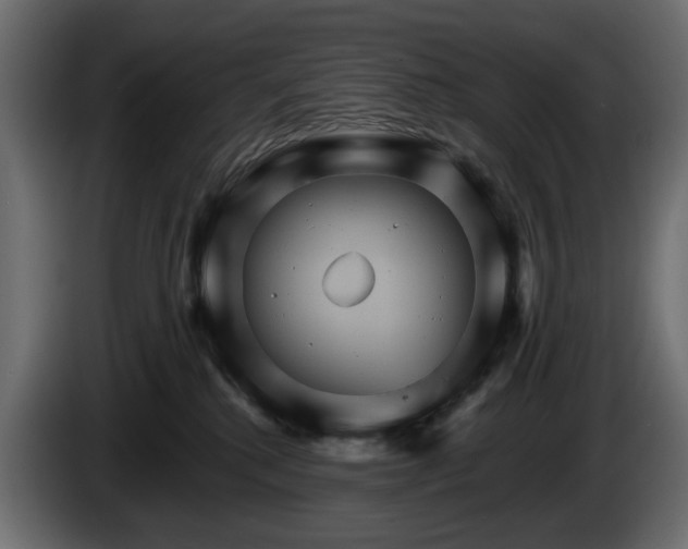 X0000084520280200703021403