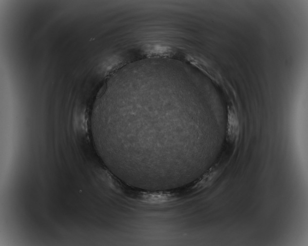 X0000084520282200703021403