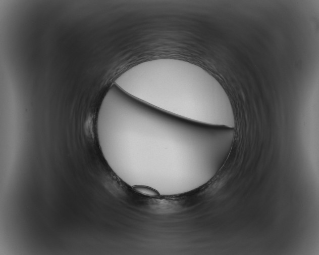 X0000084520286200703021403