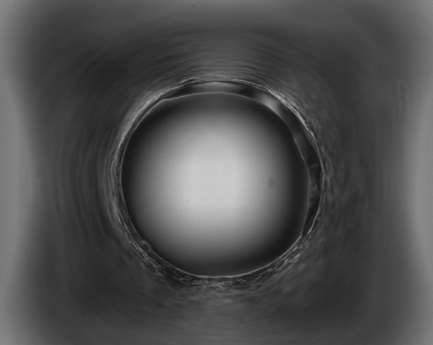 X0000084520289200703021402