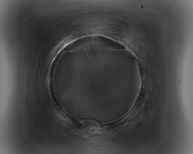 X0000084520290200703021402