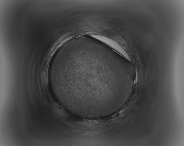 X0000084520291200703021402