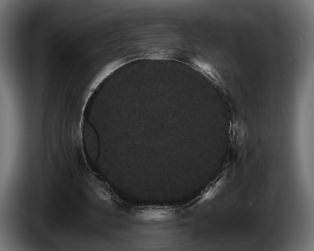 X0000084520292200703021402