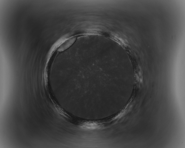 X0000084520294200703021402