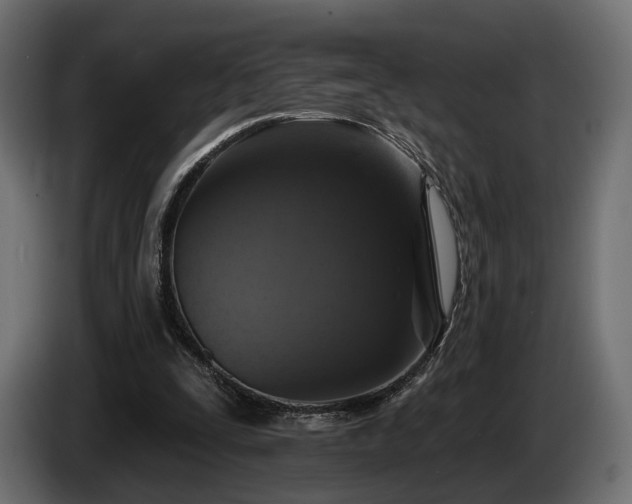 X0000084520295200703021402