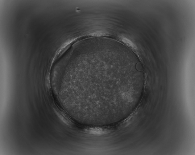 X0000084520298200703021402