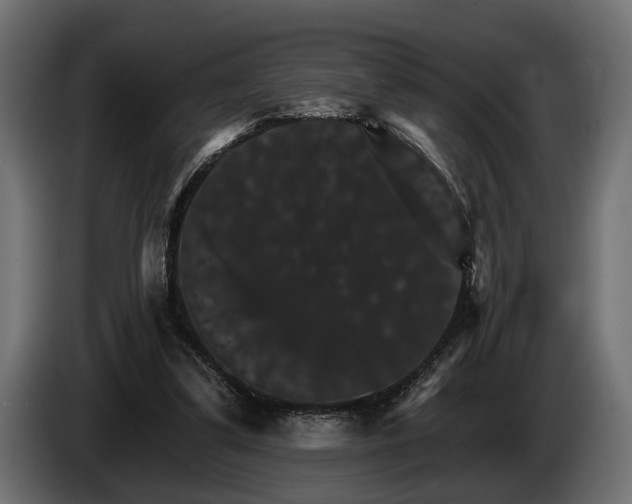 X0000084520299200703021402