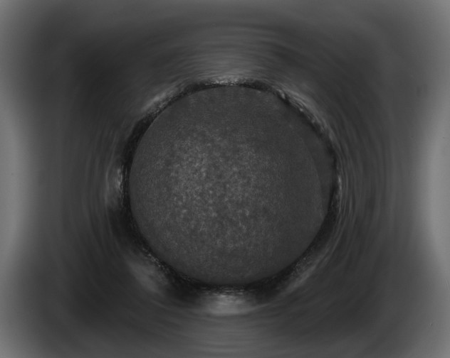 X0000084520308200703021402