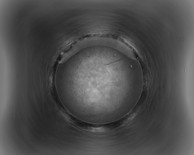 X0000084520309200703021402