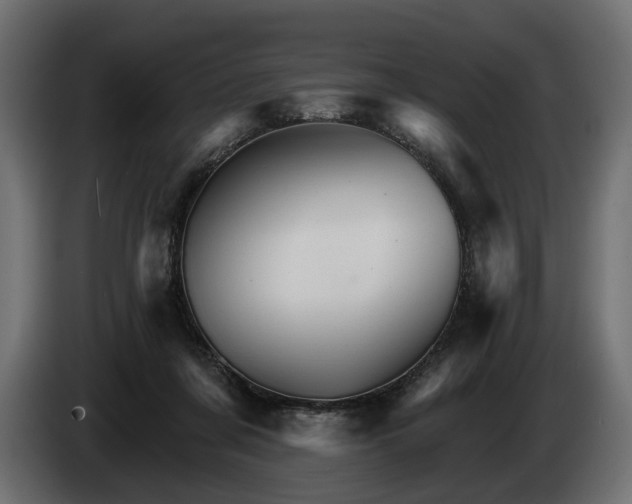 X0000084520311200703021402