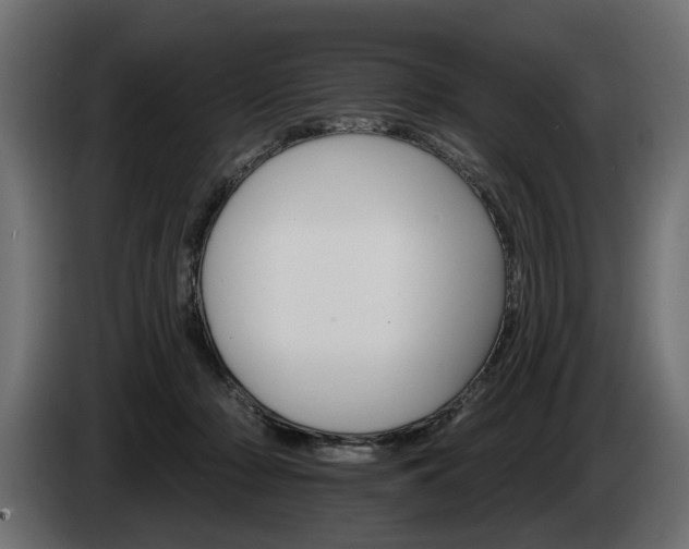 X0000084520318200703021402