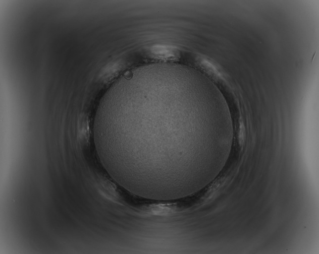 X0000084520320200703021402