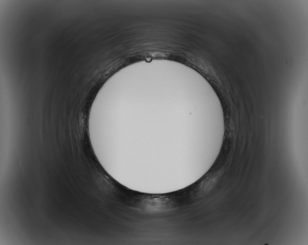 X0000084520321200703021402