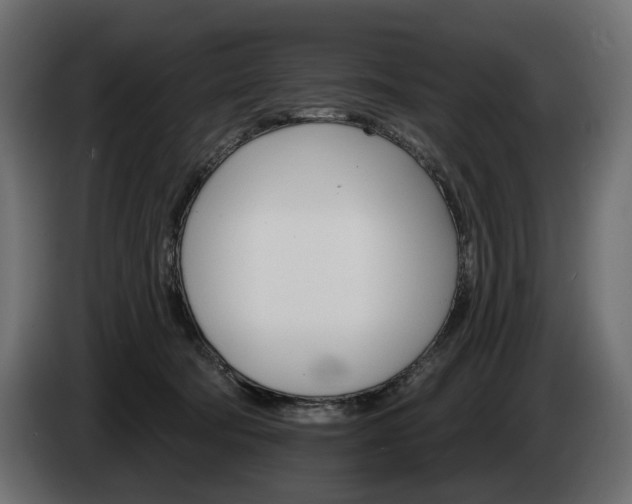 X0000084520322200703021402